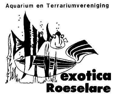 EXOTICA-Roeselare vzw